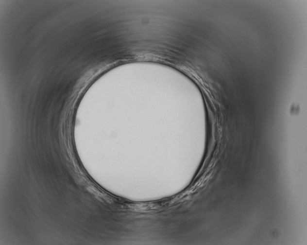 X0000097640241200803281129