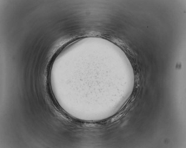 X0000097640242200803281129