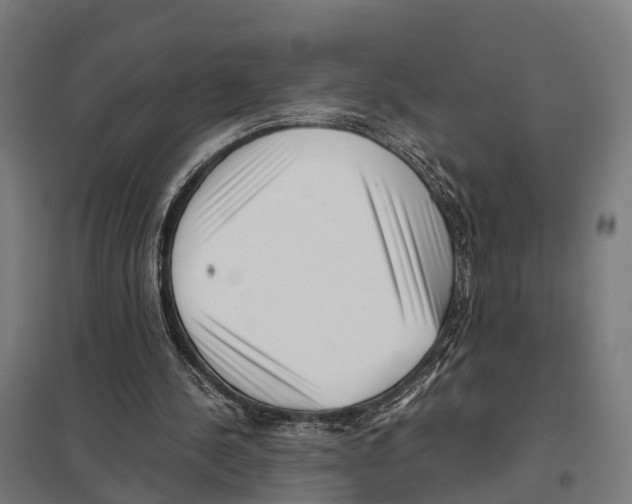 X0000097640244200803281129