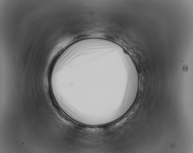 X0000097640245200803281129