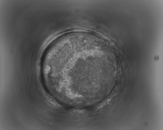 X0000097640247200803281129