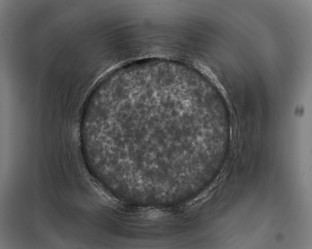 X0000097640249200803281129