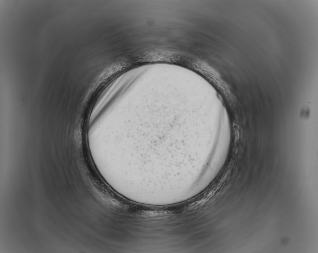 X0000097640250200803281129