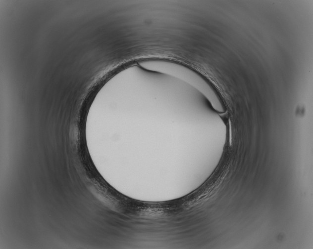 X0000097640252200803281129