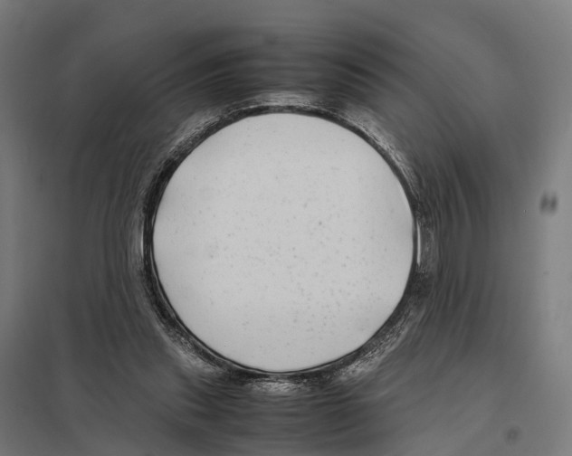 X0000097640253200803281129