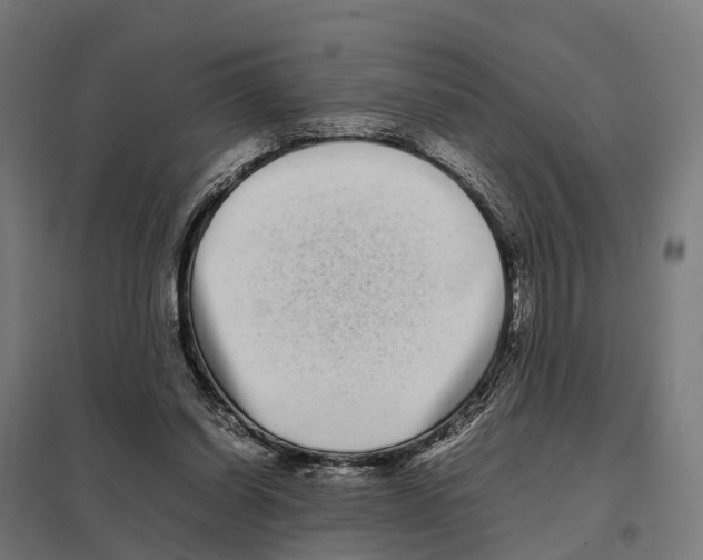 X0000097640254200803281129