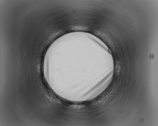 X0000097640255200803281129