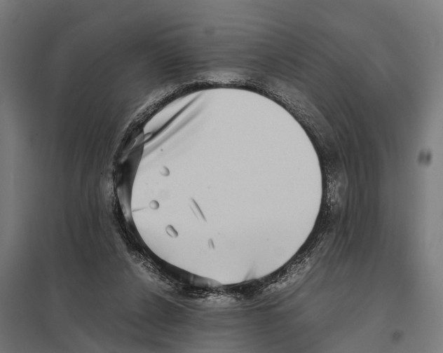 X0000097640256200803281129