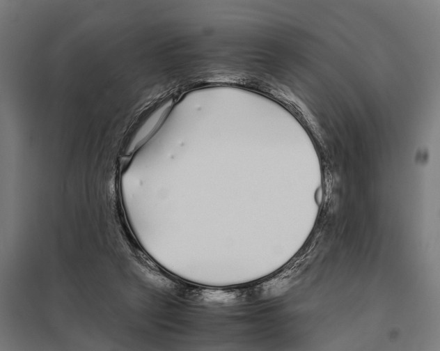 X0000097640257200803281129