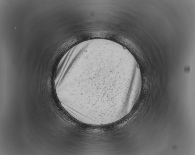 X0000097640258200803281129