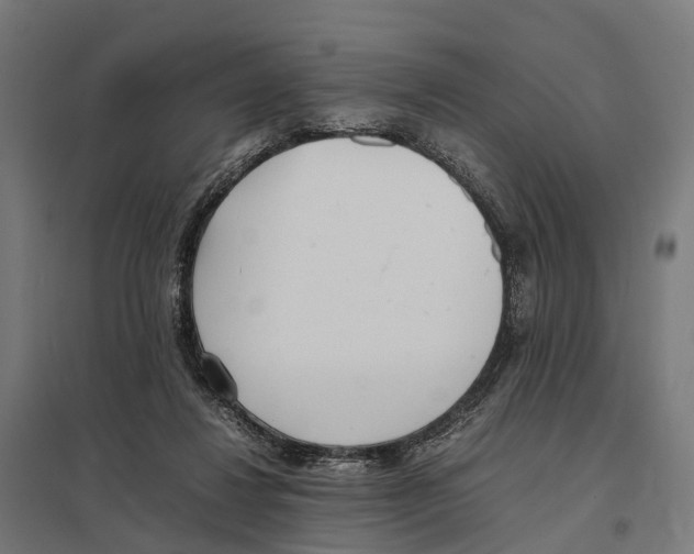 X0000097640260200803281129