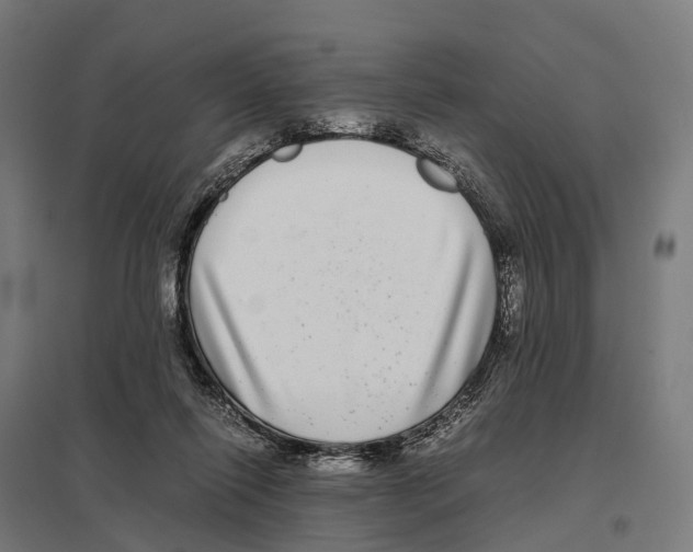 X0000097640262200803281129