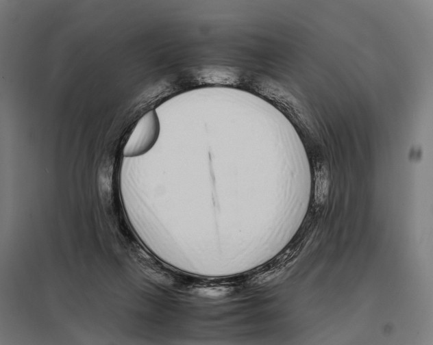 X0000097640263200803281129