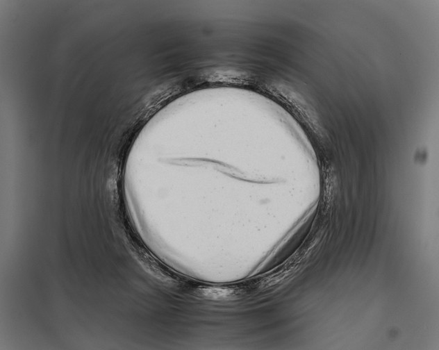 X0000097640265200803281129