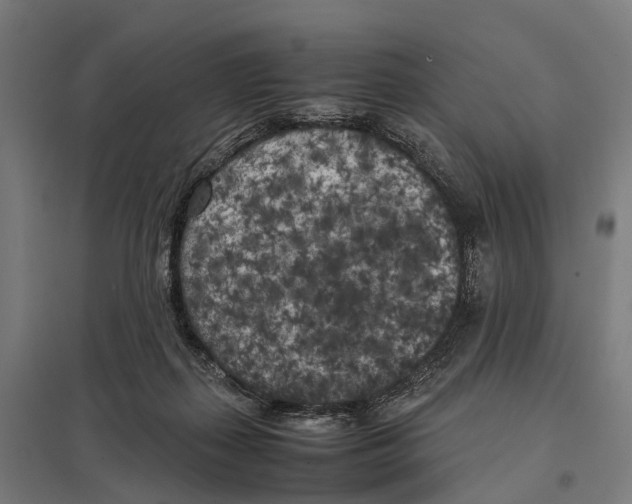 X0000097640267200803281129