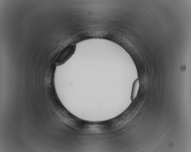 X0000097640268200803281129