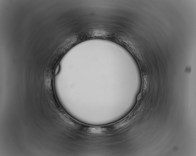 X0000097640269200803281129