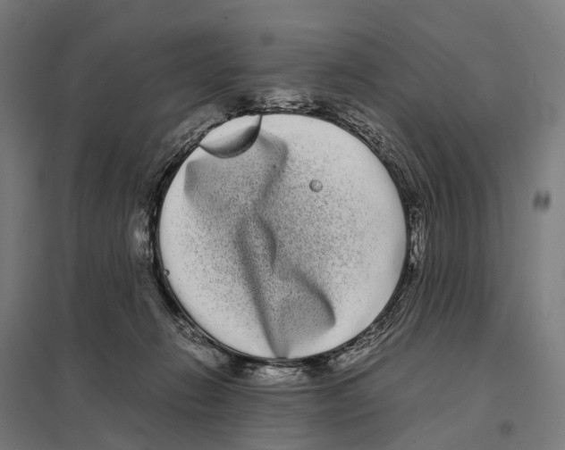 X0000097640270200803281129