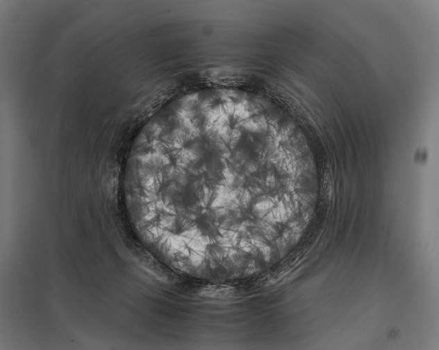 X0000097640271200803281129