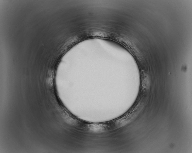 X0000097640273200803281129