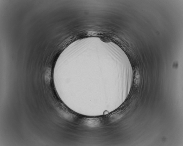 X0000097640275200803281129