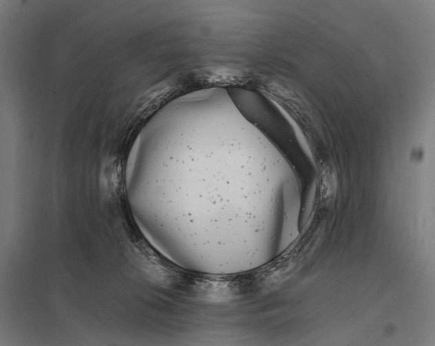 X0000097640276200803281129