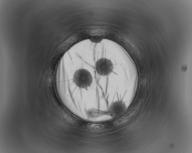 X0000097640277200803281129