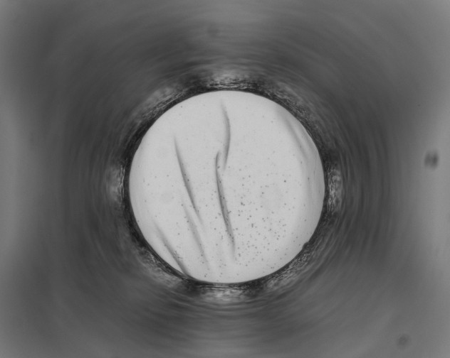 X0000097640278200803281129