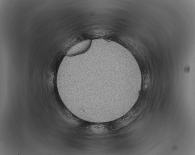 X0000097640279200803281129