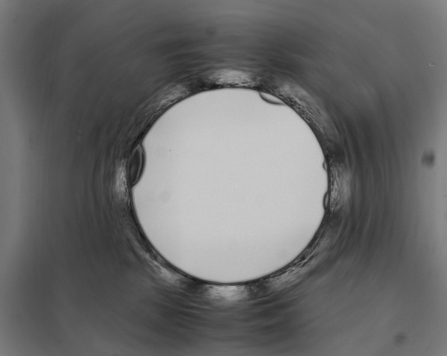 X0000097640281200803281130