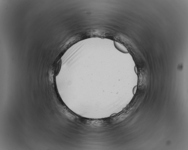 X0000097640282200803281130