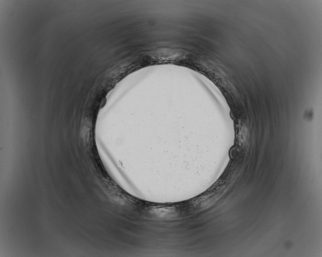 X0000097640283200803281130