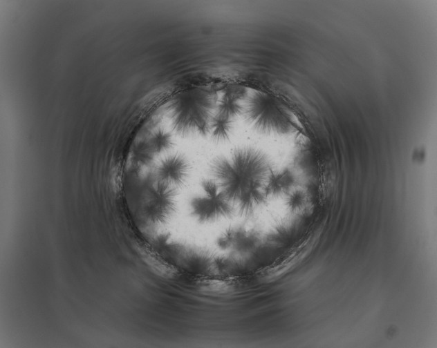 X0000097640285200803281130