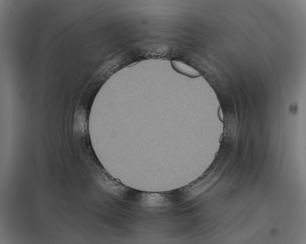 X0000097640287200803281130