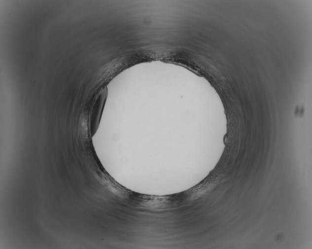 X0000097640288200803281130