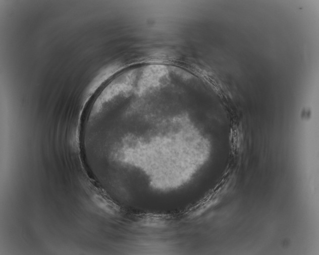 X0000097640292200803281129