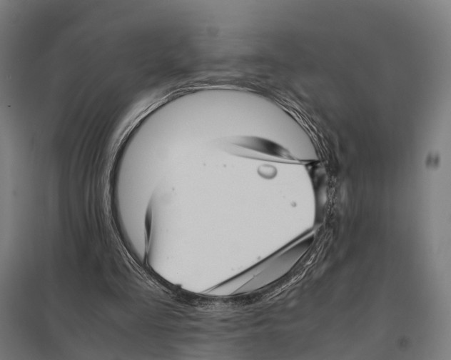 X0000097640293200803281129