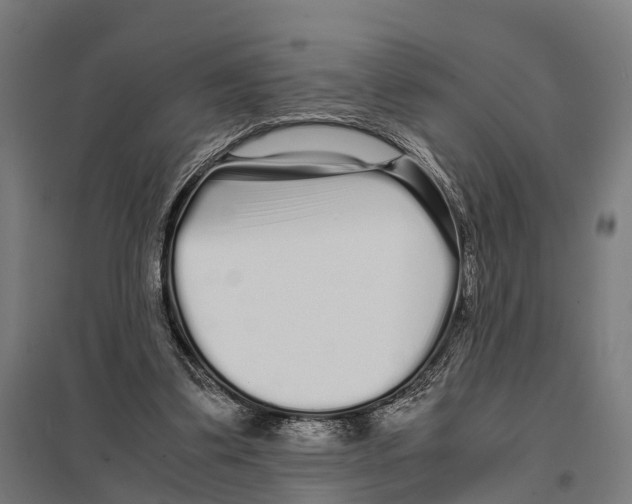 X0000097640299200803281129