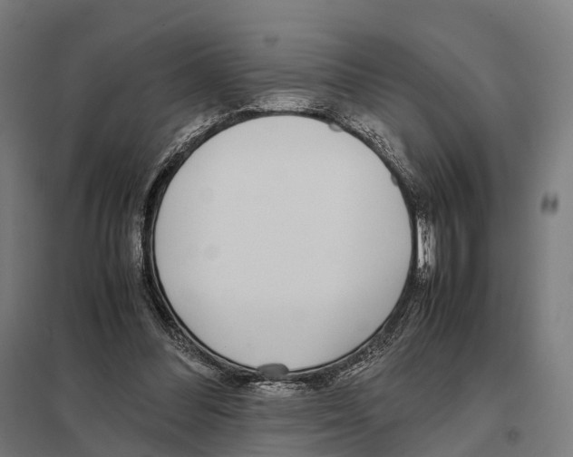 X0000097640300200803281129