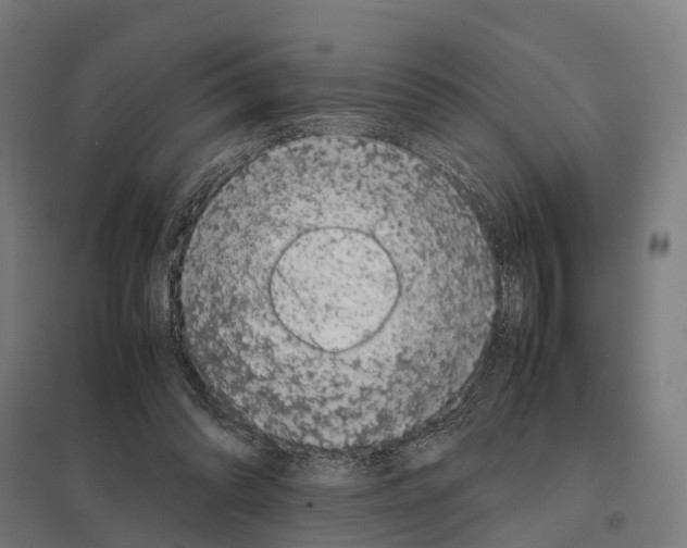 X0000097640302200803281129