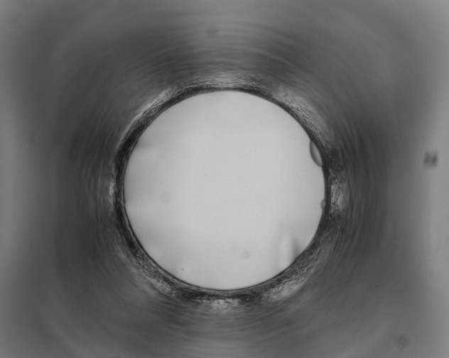 X0000097640304200803281129