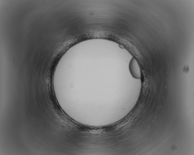 X0000097640306200803281129