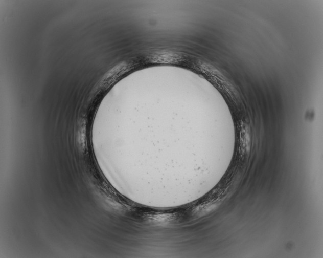 X0000097640312200803281129