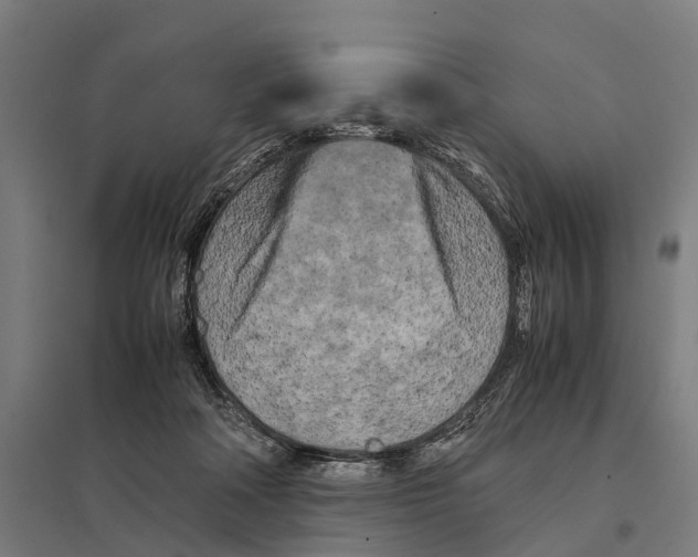 X0000097640314200803281129