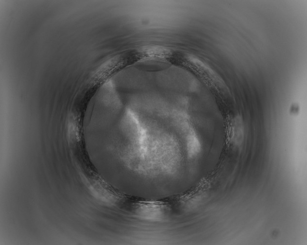 X0000097640316200803281129