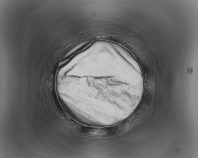 X0000097640319200803281129