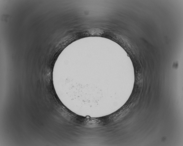 X0000097640321200803281128