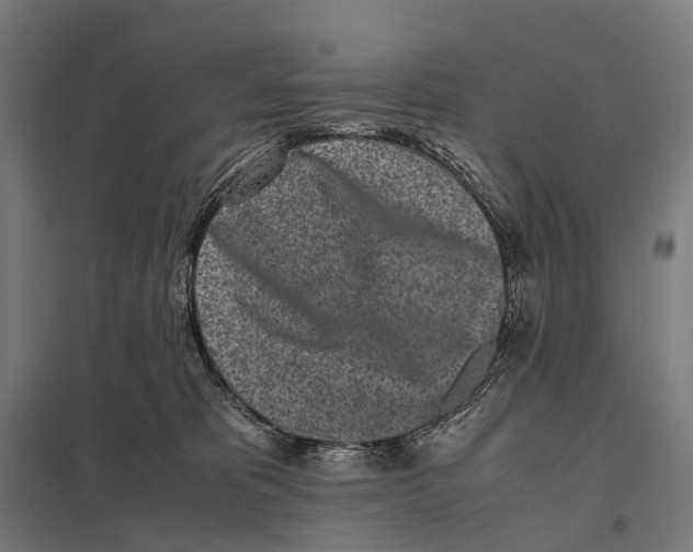 X0000097640325200803281128