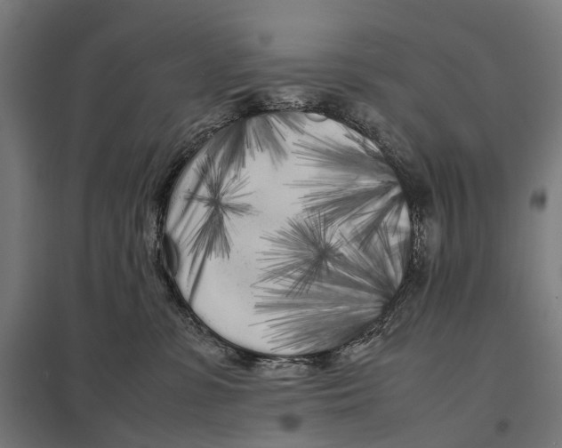 X0000097640331200803281128
