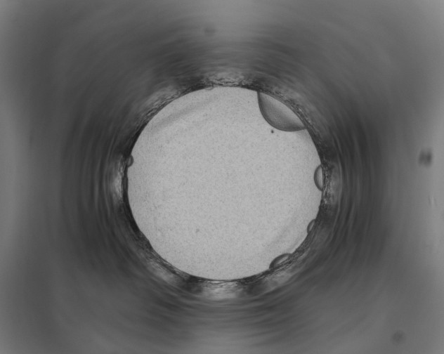 X0000097640334200803281128